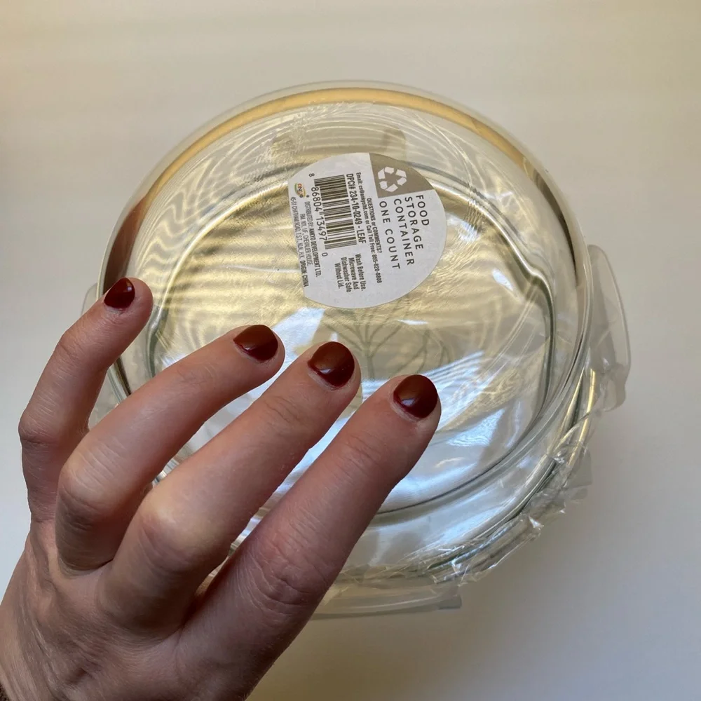 🍃🍃FOOD STORAGE CONTAINER GLASS PLASTIC LID NEW Leaf Motif